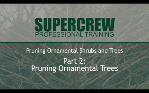SuperCrew Pruning 2